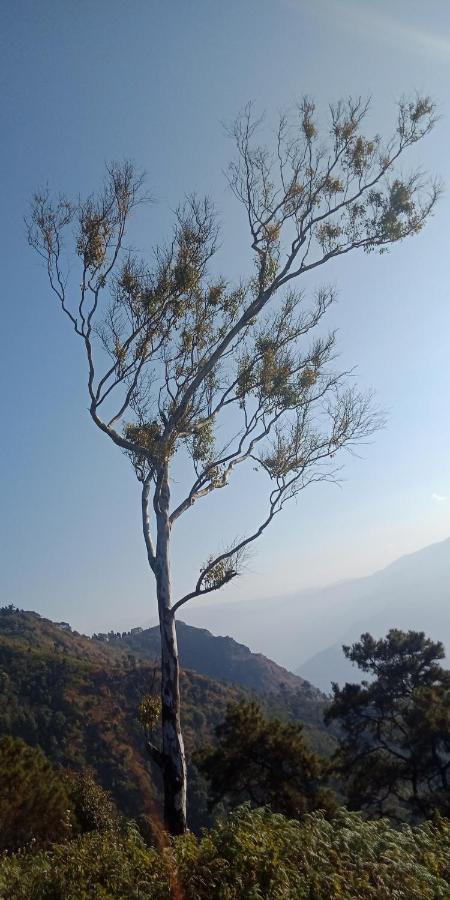 Appartamento Ale Chojeke Kalimpong Esterno foto