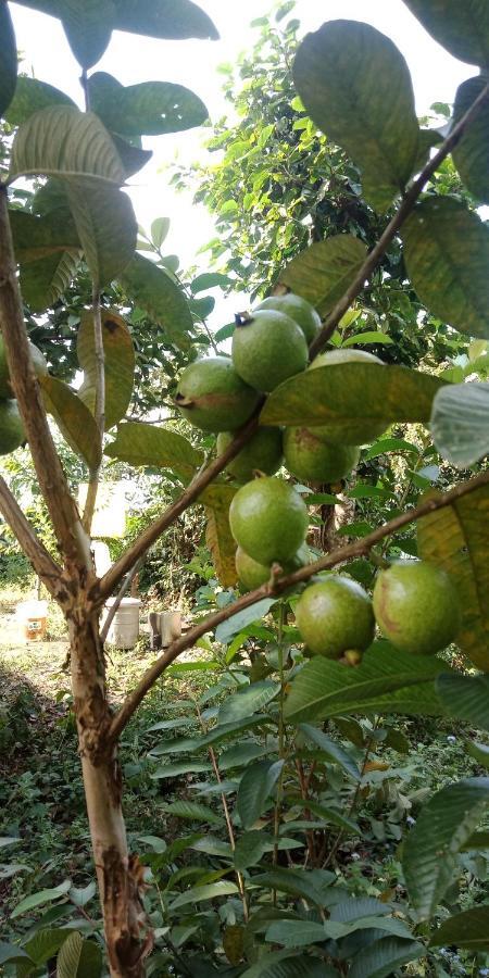 Appartamento Ale Chojeke Kalimpong Esterno foto